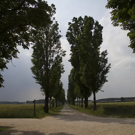 Han/Misafirhane Abbazia Di Valserena - Csac Parma