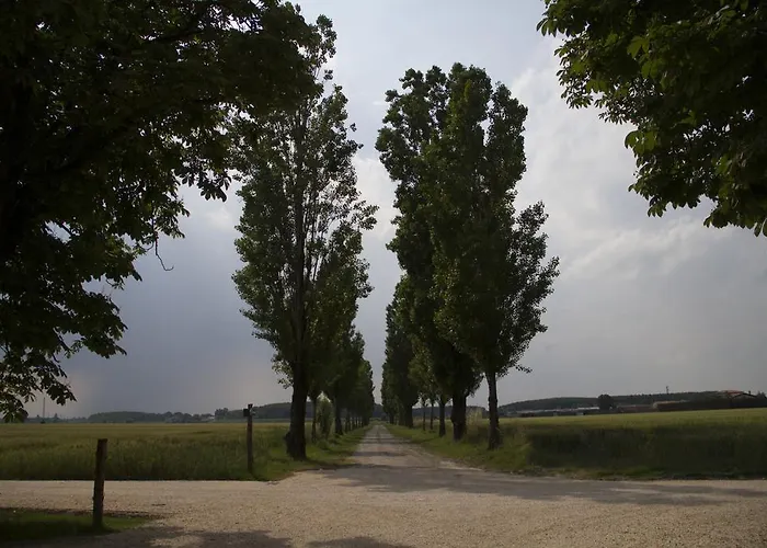宾馆 Abbazia Di Valserena - Csac 帕爾馬